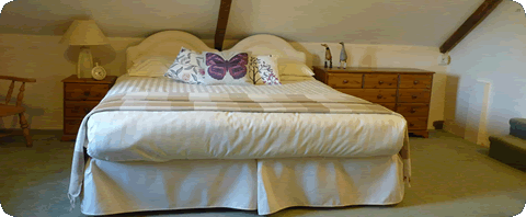 The Appleloft Suite -  perfect for dog friendly holidays