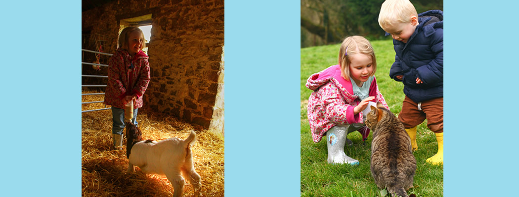 Families resting on a log on the woods